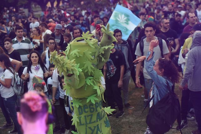 Autocultivo contra la economía del delito se leyó en pancartas de una de las MMM de Rosario. 