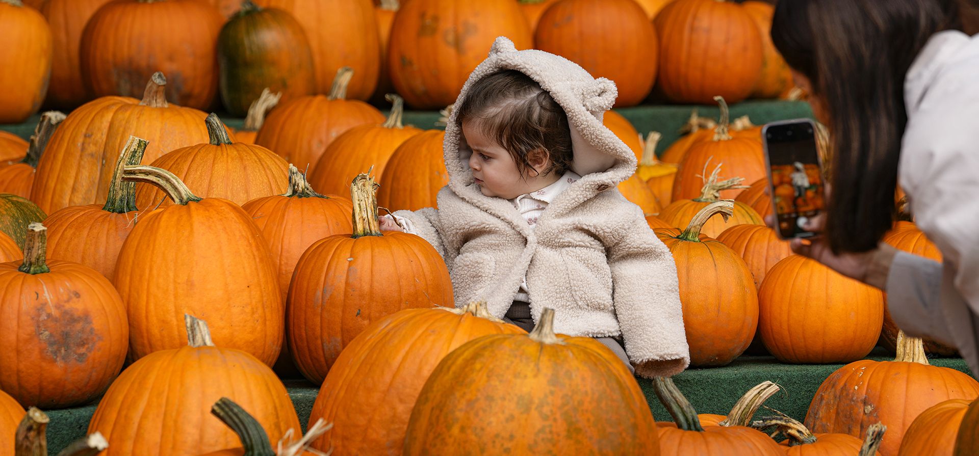 Una niña es fotografiada por su madre, rodeada de calabazas en la granja Sanders en Castrop-Rauxel, Alemania, el jueves 17 de octubre de 2024. (Foto AP/Martin Meissner) Una niña es fotografiada por su madre, rodeada de calabazas en la granja Sanders en Castrop-Rauxel, Alemania, el jueves 17 de octubre de 2024. (Foto AP/Martin Meissner)