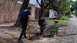 Zanja. Más de 6.000 metros intervenidos en barrios El Tránsito y San Martín para prevenir anegamientos.