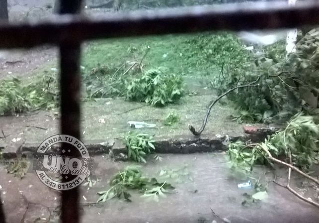 Terrible temporal de lluvia y viento generó graves destrozos en Paraná