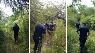 Hernandarias: buscan a Ramón Grandoli en el monte