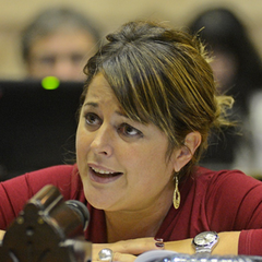 Diputada Carolina Gaillard, al reclamar por los programas Remediar e Incluir Salud