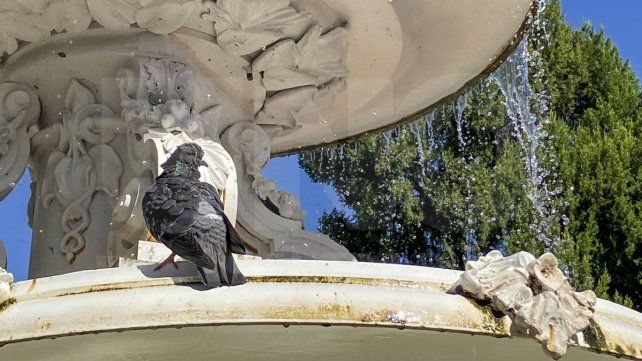 Entre Ríos: buen tiempo y elevada humedad mientras las temperaturas comienzan a subir