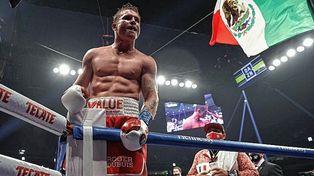 El CMB aprobó pelea de Canelo Álvarez por el título crucero