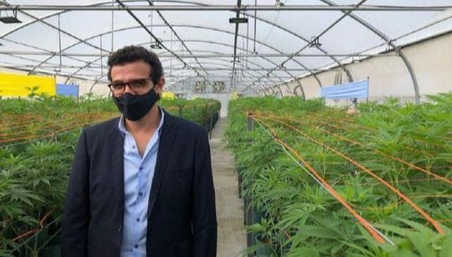 Jujuy comienza a proveer a las farmacias el aceite de cannabis de producción estatal