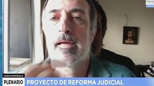 Esteban Bullrich y su fondo de pantalla durante el debate de la reforma judicial