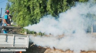 En Entre Ríos no hay antecedentes de casos de dengue graves