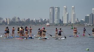 Desde cualquier punto de la costa de Rosario se pudo ver a los participantes de la regata.