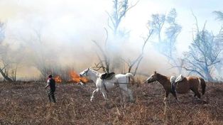 La CSJ ordenó constituir un comité de emergencia para frenar los incendios