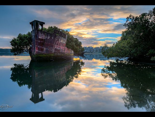 Bosque flotante en un buque de 102 años