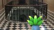 La redacción de La Capital sufrió una invasión de pokemones.&nbsp;
