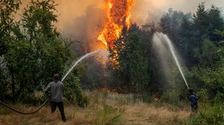 Reforma de los fondos ATN: organizaciones presentaron un proyecto con enfoque ambiental