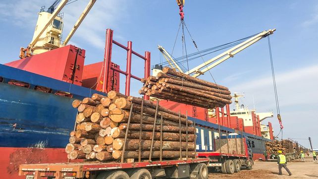 Puertos y trenes, el camino del desarrollo