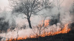 Cambio climático: se duplicó el calor que atrapa la Tierra entre 2005 y 2019