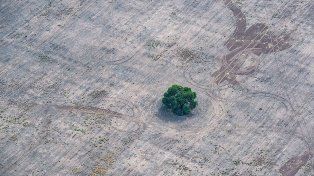 Nación declaró la emergencia agropecuaria para Chaco y Santa Fe