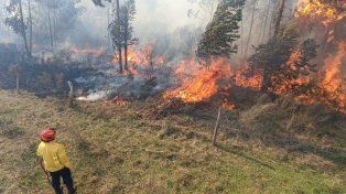 Personal de la subsecretaría de Ambiente brindó capacitación a brigadistas de Entre Ríos y Río Negro para estandarizar procedimientos ante incendios forestales