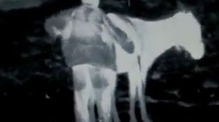 Filman con una cámara infrarroja a acusado de violar a un burro