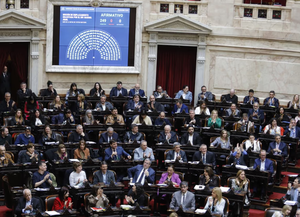 Diputados: hubo dictamen para el tratamiento de emergencia en discapacidad y morosidad