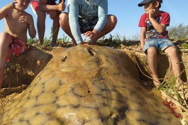 Pescadores sacaron una raya gigante del Paraná en Corrientes