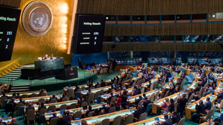 Argentina votó en contra de una resolución para prevenir la violencia contra la mujeres.