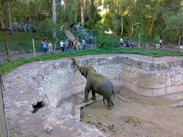 Zoo. Fue cerrado el 31 de mayo para repararlo y no será abierto aún porque las máquinas trabajan en los senderos.