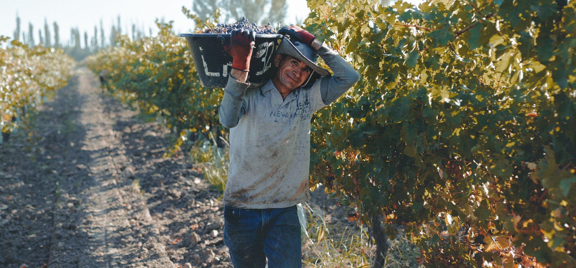 Rosarinos y sustentables: una bodega recibe certificación internacional por su producción de triple impacto
