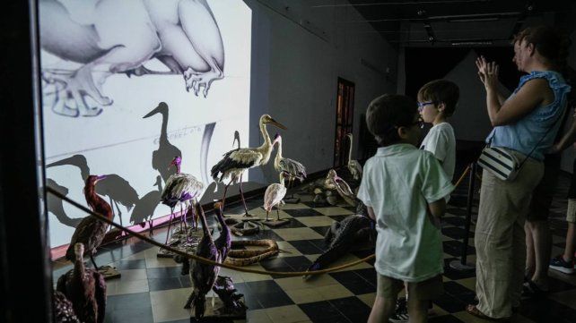 Más de 150 instituciones participarán de La Noche de los Museos Entrerrianos