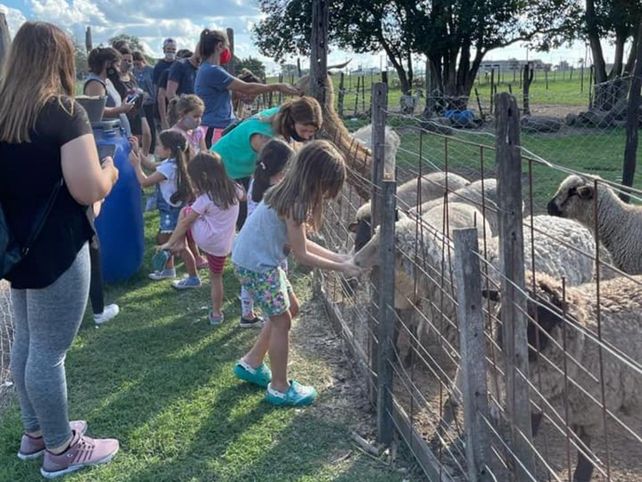 Granjas educativas en Santa Fe: el desafío de vivir y enseñar del campo
