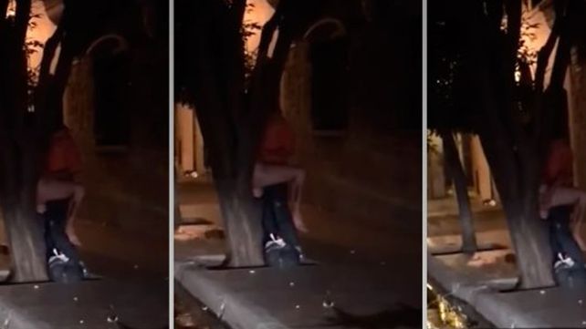 No aguantaron más: salieron de bailar, tuvieron sexo contra un árbol y los grabaron