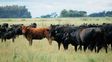 Santa Fe presentó en La Rural un certificado para acreditar producción sin deforestación ante los mercados externos