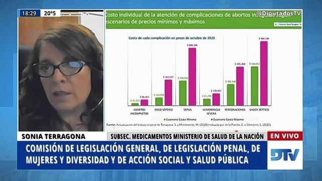 Sonia Tarragona mostró los resultados de un trabajo sobre el ahorro que significaría para el sistema de salud la legalización del aborto.