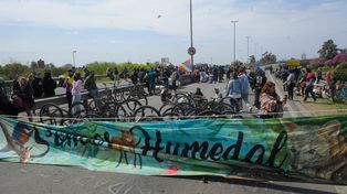 Another protest for the wetlands law, which may lose parliamentary status