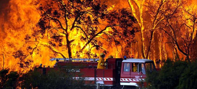 Los incendios forestales en Australia ya causaron m&aacute;s de ochenta muertos