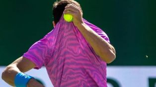 El español Alcaraz se cubre del ataque de las abejas en pleno encuentro ante el alemán Alexander Zverev.