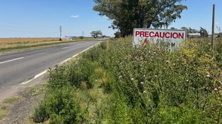 Leticia Di Gregorio: “Empezamos el 2026 con los pastos creciendo sobre las rutas nacionales, tapando carteles y guardarraíles. Es una situación peligrosa y una vergüenza”
