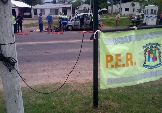 Una perra labradora descubrió 120 kilos de marihuana en una camioneta