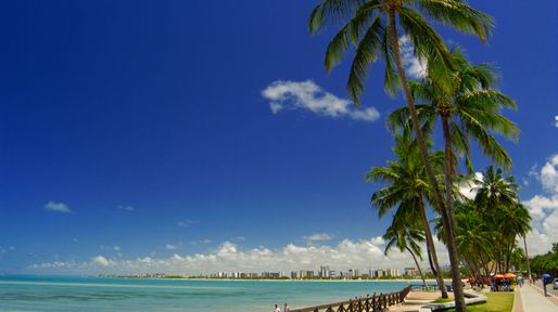 Rosario suma vuelos directos a un popular destino de Brasil el próximo verano