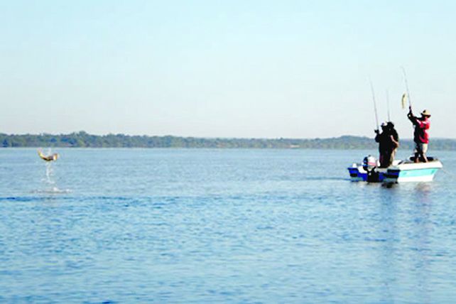 Colón