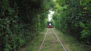 Una nueva esperanza para la vuelta del tren