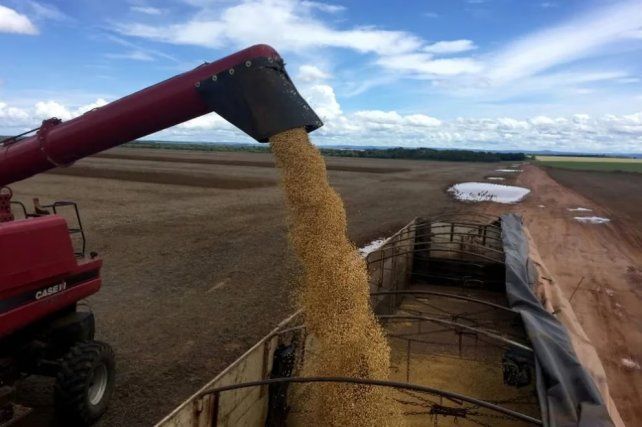  Brasil desplazó a Argentina como principal proveedor mundial de harina de soja