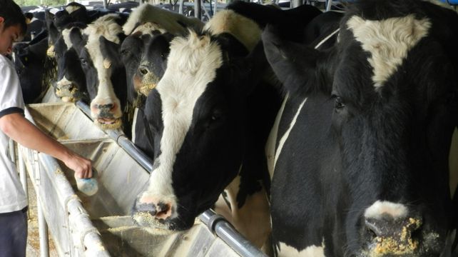 Santa Fe se consolida como productora láctea líder a nivel nacional