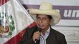 Pedro Castillo debe sumara a las dificultades propias de su cargo las que le presentarán desde su propio bando.&nbsp;