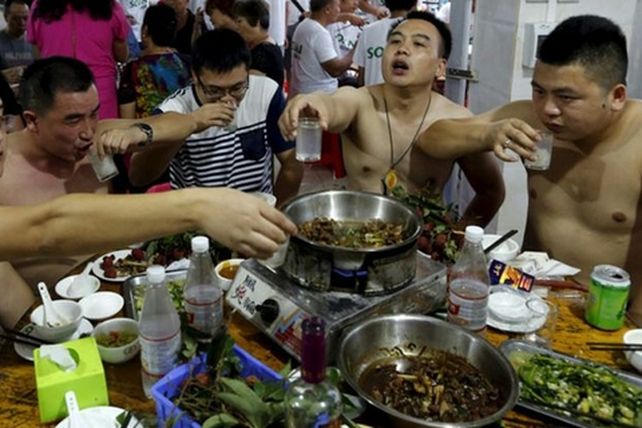 costumbres taiwanesas. La carne de perro es parte de la cultura.