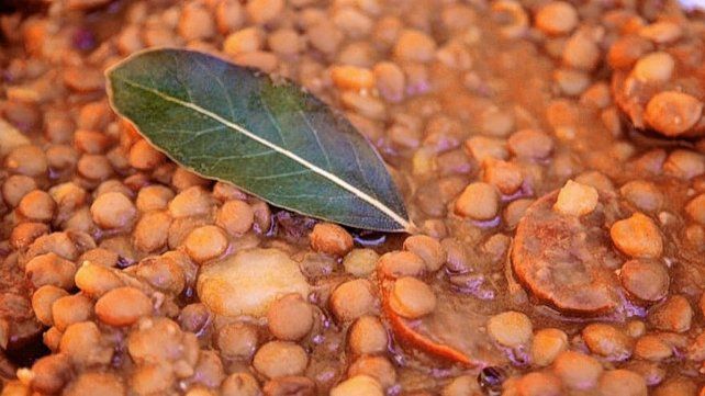 El laurel, símbolo de triunfo y victoria en la antigüedad, hoy presente indispensable en la cocina