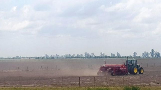 Lote con soja temprana en pleno proceso de siembra