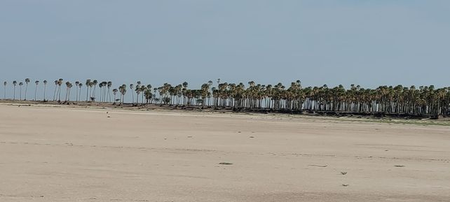 Laguna El Palmar, a la altura de la localidad de Margarita.