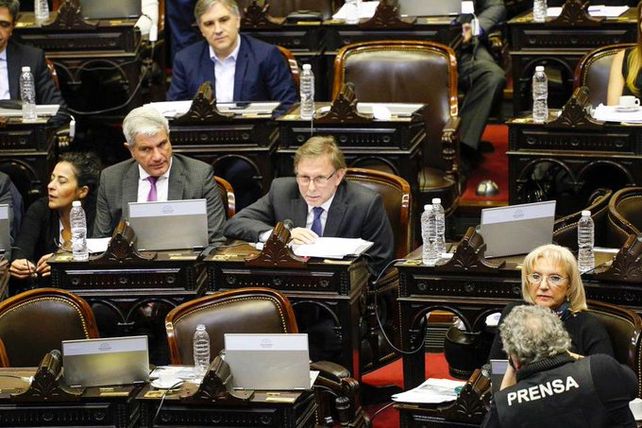 Los diputados sesionaron hoy en el Congreso.&nbsp;