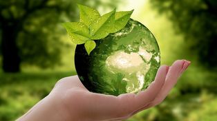 Cinco aplicaciones para cuidar el medioambiente y aprender ecología
