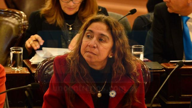 Pross. La diputada paranaense es la autora de la iniciativa.&nbsp;