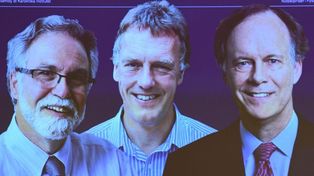 Nobel de Medicina a dos americanos y un británico 